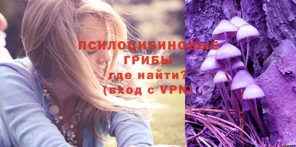 спиды Алексин