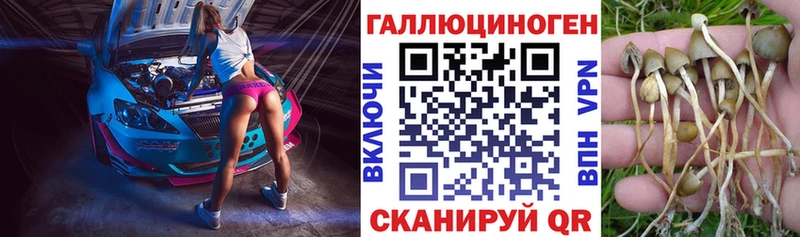 Псилоцибиновые грибы ЛСД  Купить где  Александровское 